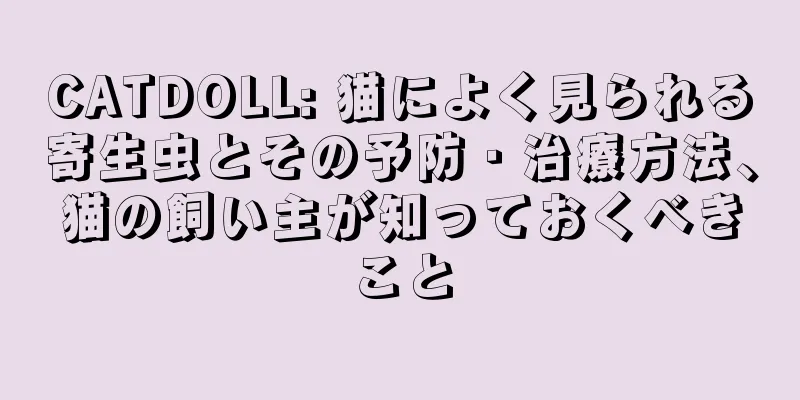 CATDOLL: 猫によく見られる寄生虫とその予防・治療方法、猫の飼い主が知っておくべきこと