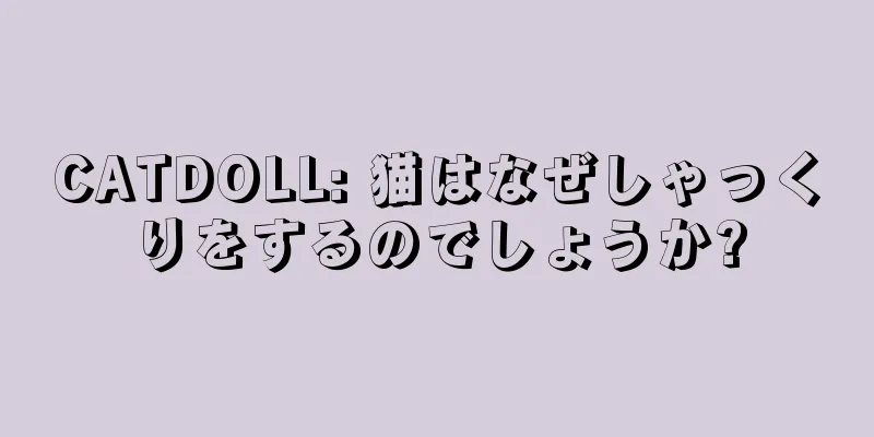 CATDOLL: 猫はなぜしゃっくりをするのでしょうか?