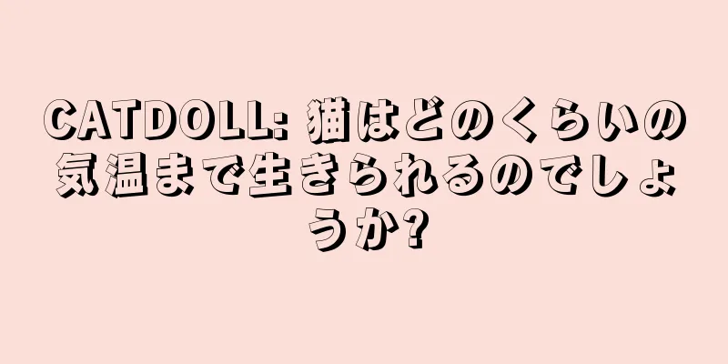 CATDOLL: 猫はどのくらいの気温まで生きられるのでしょうか?