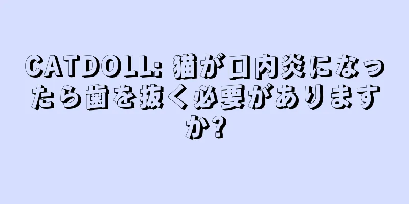 CATDOLL: 猫が口内炎になったら歯を抜く必要がありますか?