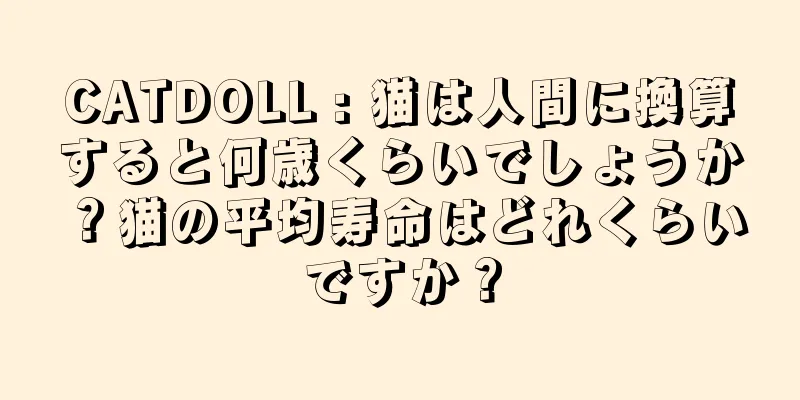 CATDOLL : 猫は人間に換算すると何歳くらいでしょうか？猫の平均寿命はどれくらいですか？