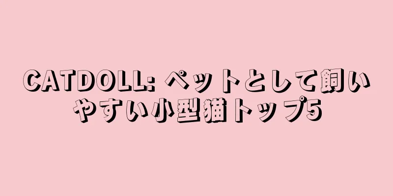 CATDOLL: ペットとして飼いやすい小型猫トップ5