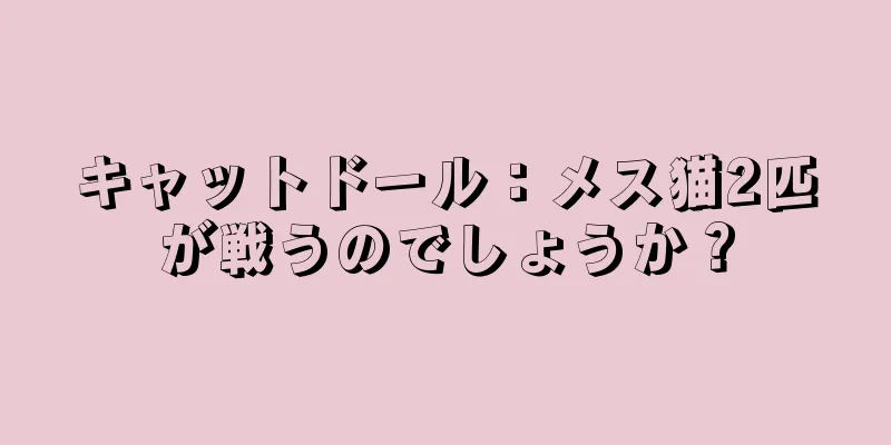 キャットドール：メス猫2匹が戦うのでしょうか？