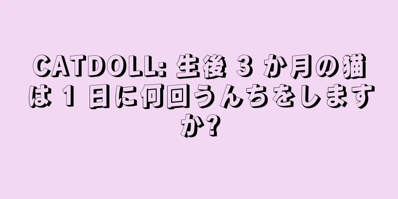 CATDOLL: 生後 3 か月の猫は 1 日に何回うんちをしますか?