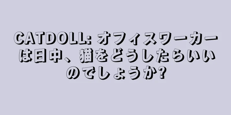 CATDOLL: オフィスワーカーは日中、猫をどうしたらいいのでしょうか?