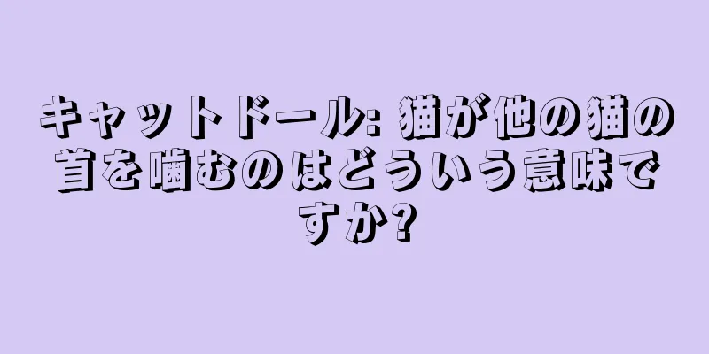 キャットドール: 猫が他の猫の首を噛むのはどういう意味ですか?
