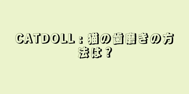 CATDOLL : 猫の歯磨きの方法は？