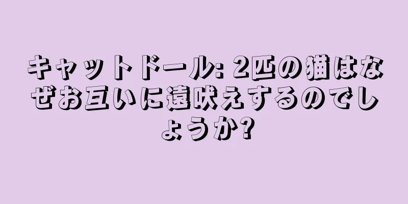 キャットドール: 2匹の猫はなぜお互いに遠吠えするのでしょうか?