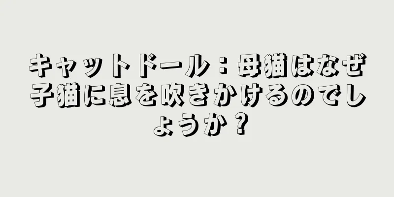 キャットドール：母猫はなぜ子猫に息を吹きかけるのでしょうか？