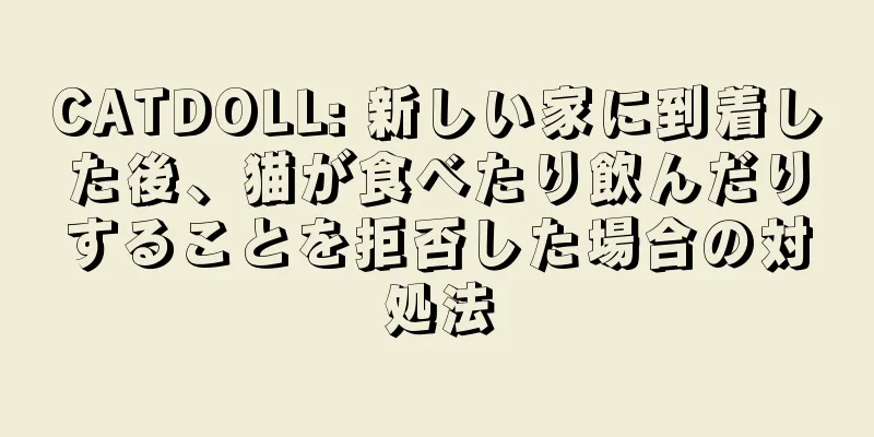 CATDOLL: 新しい家に到着した後、猫が食べたり飲んだりすることを拒否した場合の対処法