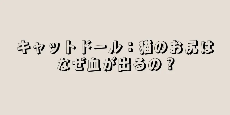 キャットドール：猫のお尻はなぜ血が出るの？