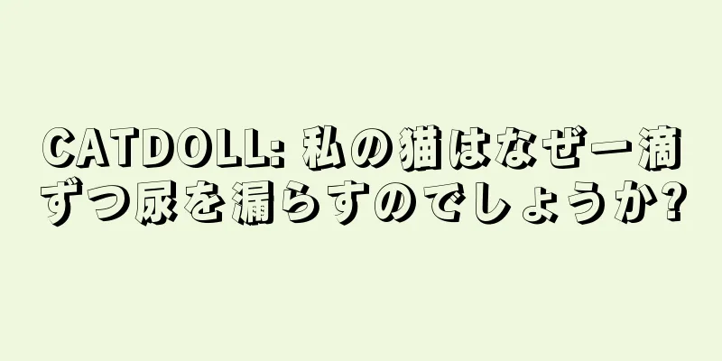 CATDOLL: 私の猫はなぜ一滴ずつ尿を漏らすのでしょうか?