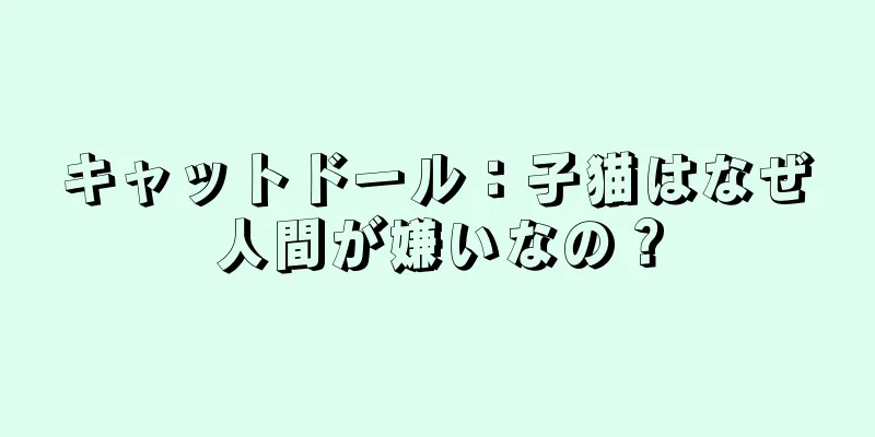キャットドール：子猫はなぜ人間が嫌いなの？