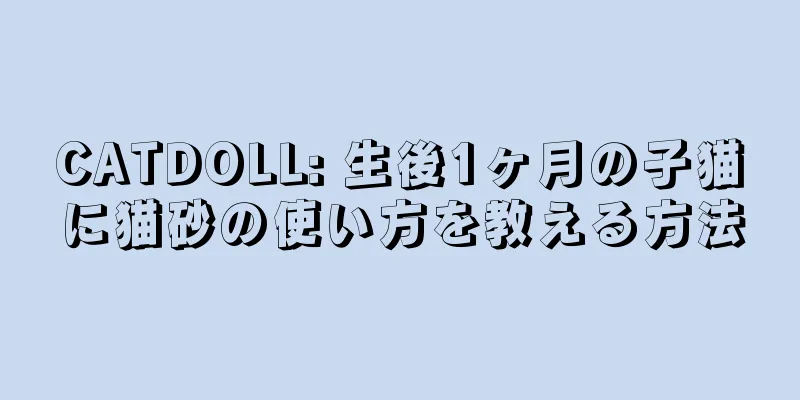 CATDOLL: 生後1ヶ月の子猫に猫砂の使い方を教える方法