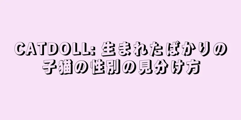 CATDOLL: 生まれたばかりの子猫の性別の見分け方