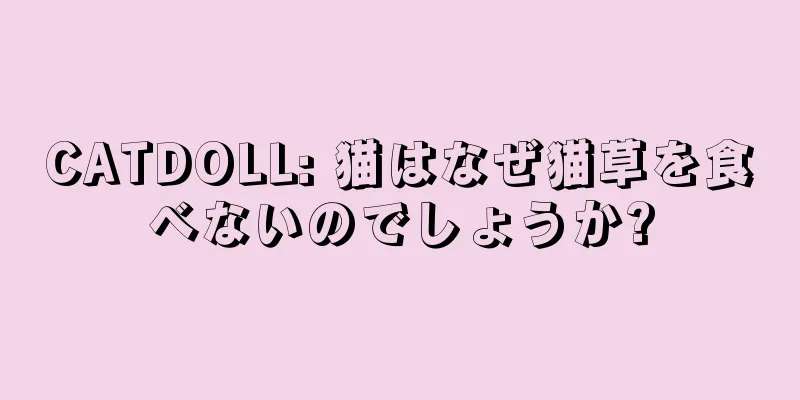 CATDOLL: 猫はなぜ猫草を食べないのでしょうか?
