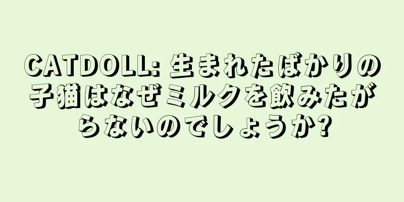 CATDOLL: 生まれたばかりの子猫はなぜミルクを飲みたがらないのでしょうか?