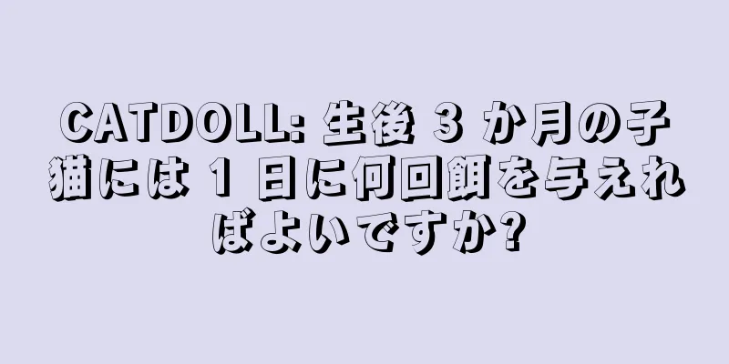 CATDOLL: 生後 3 か月の子猫には 1 日に何回餌を与えればよいですか?