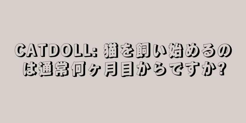 CATDOLL: 猫を飼い始めるのは通常何ヶ月目からですか?