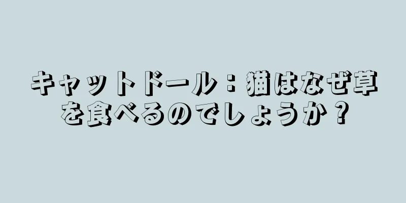 キャットドール：猫はなぜ草を食べるのでしょうか？