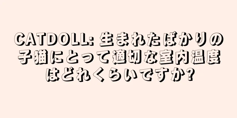 CATDOLL: 生まれたばかりの子猫にとって適切な室内温度はどれくらいですか?