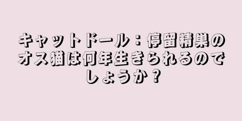 キャットドール：停留精巣のオス猫は何年生きられるのでしょうか？