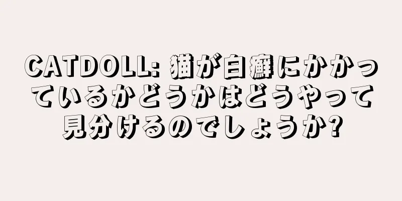CATDOLL: 猫が白癬にかかっているかどうかはどうやって見分けるのでしょうか?