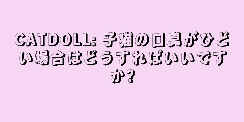 CATDOLL: 子猫の口臭がひどい場合はどうすればいいですか?