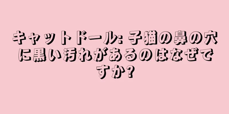 キャットドール: 子猫の鼻の穴に黒い汚れがあるのはなぜですか?