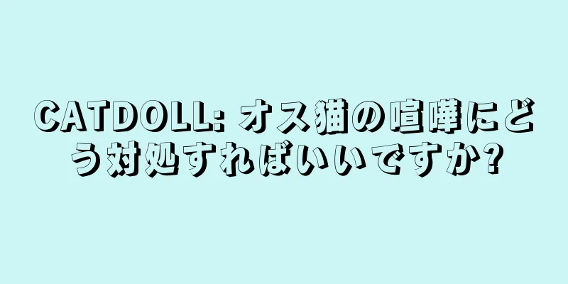 CATDOLL: オス猫の喧嘩にどう対処すればいいですか?