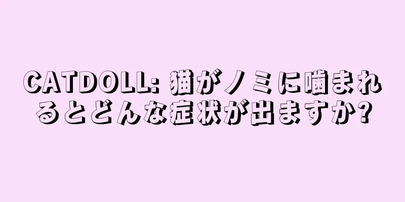 CATDOLL: 猫がノミに噛まれるとどんな症状が出ますか?
