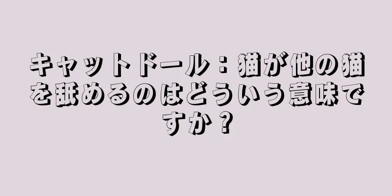 キャットドール：猫が他の猫を舐めるのはどういう意味ですか？