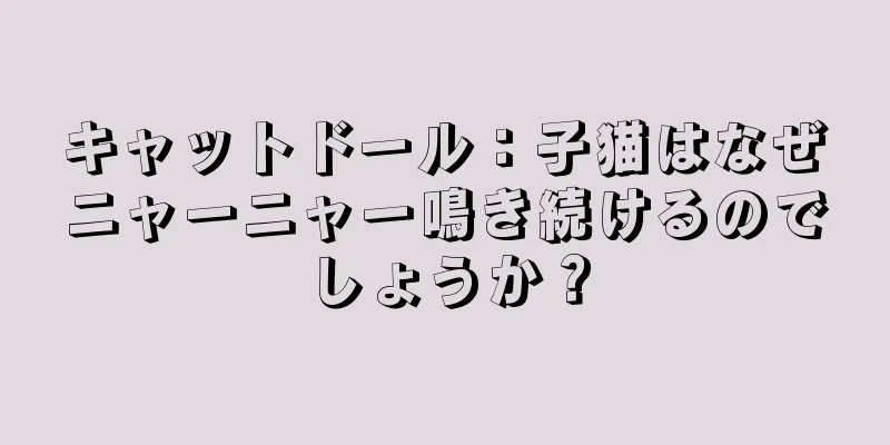 キャットドール：子猫はなぜニャーニャー鳴き続けるのでしょうか？