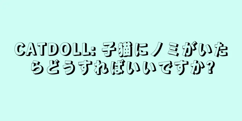CATDOLL: 子猫にノミがいたらどうすればいいですか?