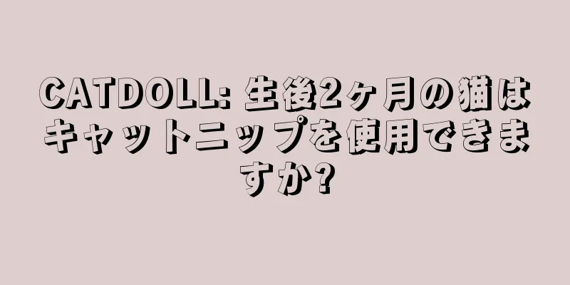 CATDOLL: 生後2ヶ月の猫はキャットニップを使用できますか?