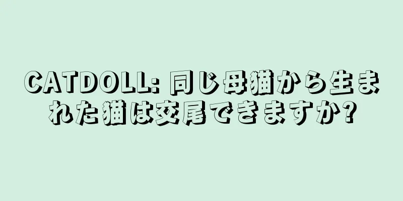 CATDOLL: 同じ母猫から生まれた猫は交尾できますか?
