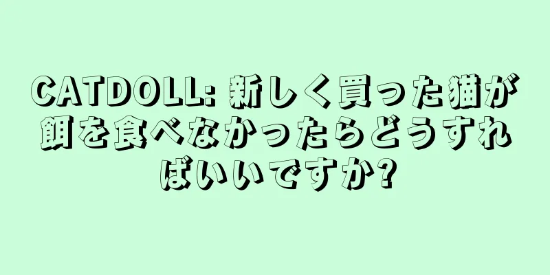 CATDOLL: 新しく買った猫が餌を食べなかったらどうすればいいですか?