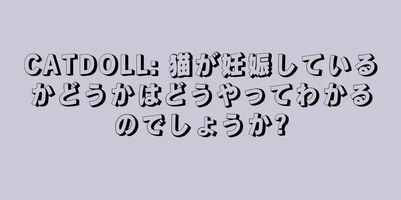 CATDOLL: 猫が妊娠しているかどうかはどうやってわかるのでしょうか?