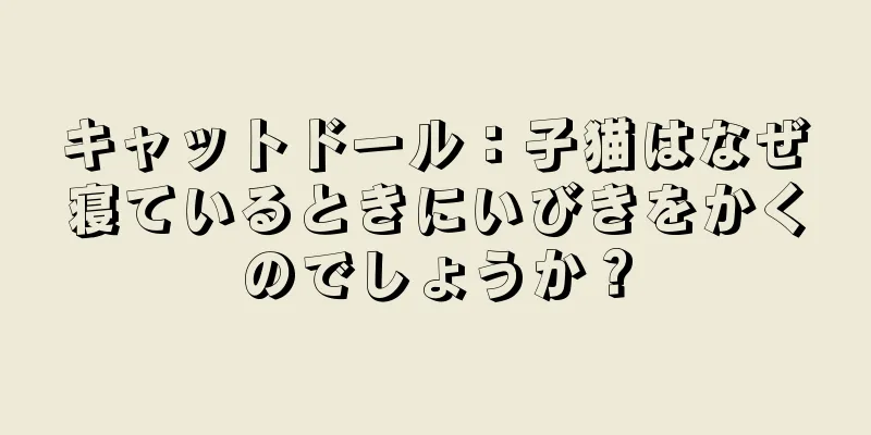 キャットドール：子猫はなぜ寝ているときにいびきをかくのでしょうか？
