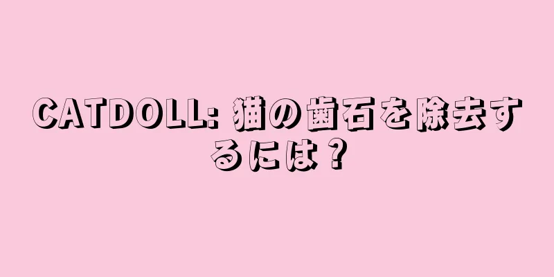 CATDOLL: 猫の歯石を除去するには？