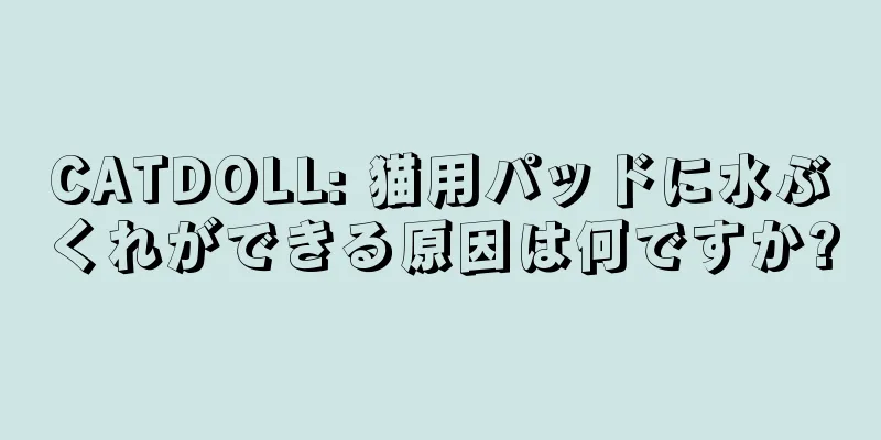 CATDOLL: 猫用パッドに水ぶくれができる原因は何ですか?