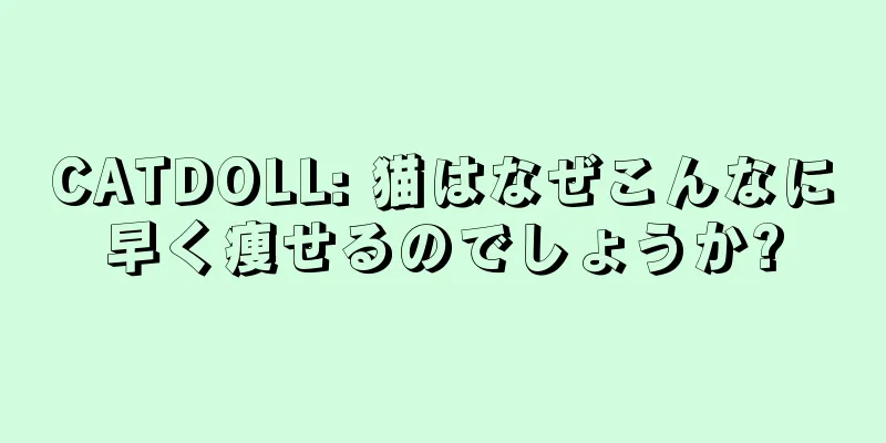 CATDOLL: 猫はなぜこんなに早く痩せるのでしょうか?