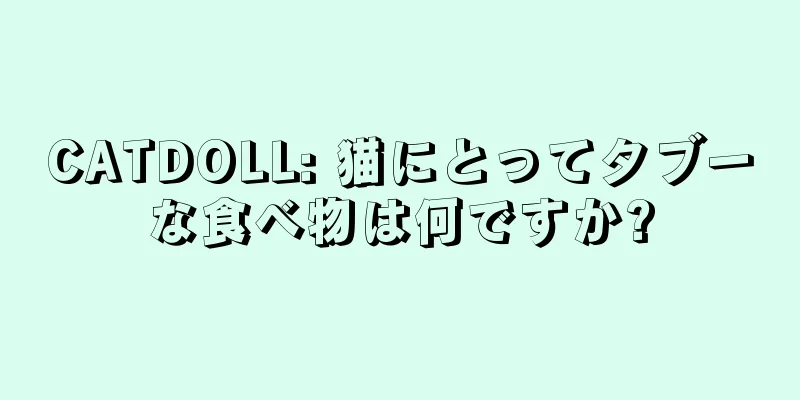 CATDOLL: 猫にとってタブーな食べ物は何ですか?
