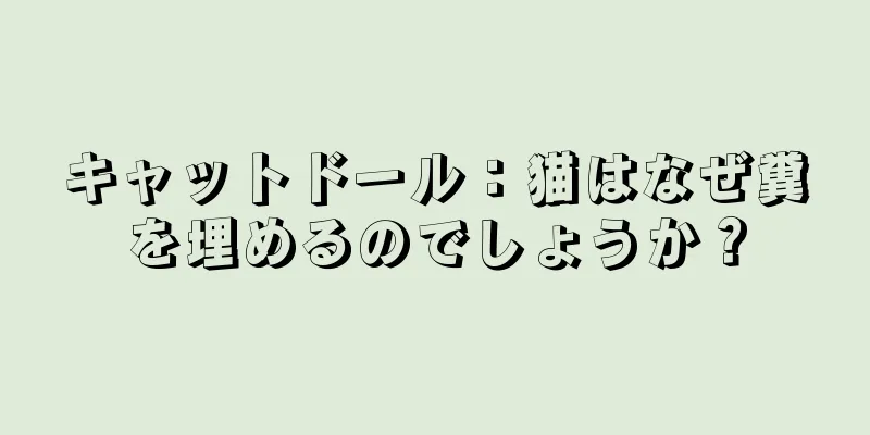 キャットドール：猫はなぜ糞を埋めるのでしょうか？