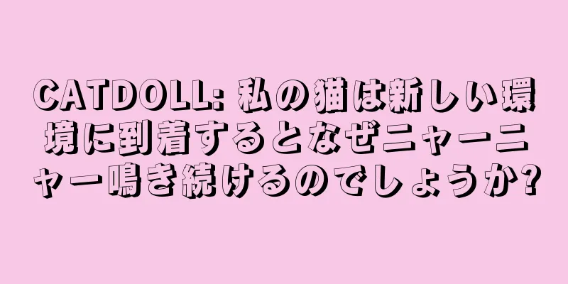 CATDOLL: 私の猫は新しい環境に到着するとなぜニャーニャー鳴き続けるのでしょうか?