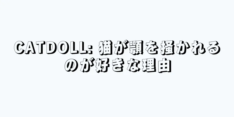 CATDOLL: 猫が顎を掻かれるのが好きな理由