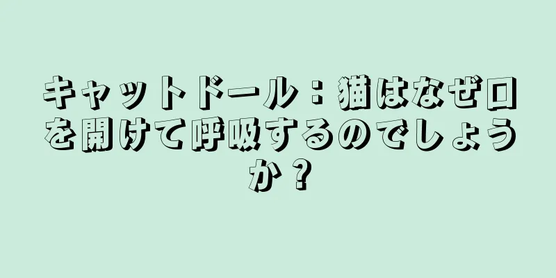 キャットドール：猫はなぜ口を開けて呼吸するのでしょうか？