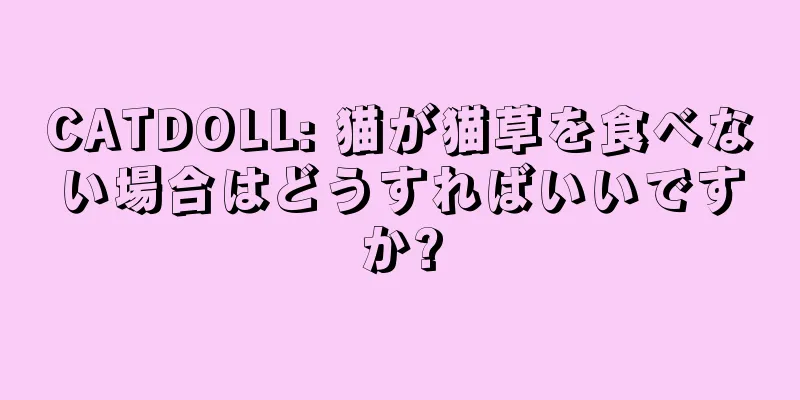 CATDOLL: 猫が猫草を食べない場合はどうすればいいですか?