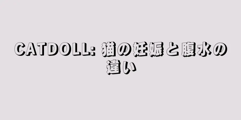 CATDOLL: 猫の妊娠と腹水の違い
