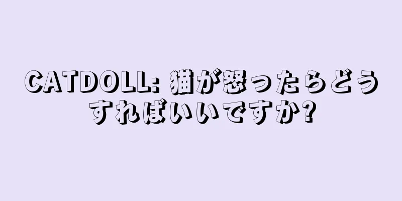 CATDOLL: 猫が怒ったらどうすればいいですか?